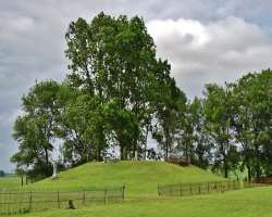 The hillock was created from 1200 to 1600 AD for surviving the flood in the Mississippi River. It was the only high ground that would remain dry durin